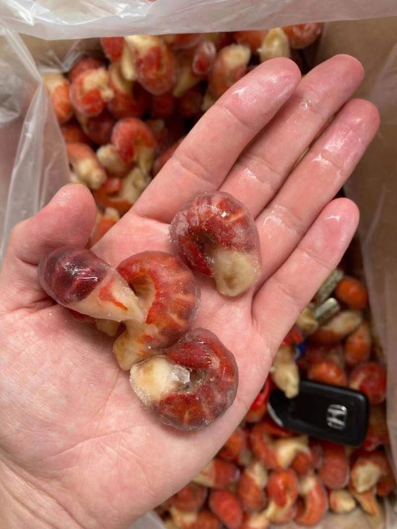 去头单冻龙虾尾，保证活虾冷冻保证货物质量
