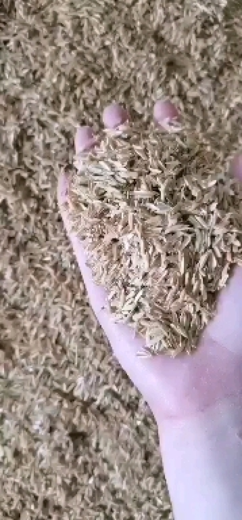 压缩稻壳打包稻壳酒厂酿酒养殖垫料大棚种植陶粒生物燃料