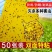 双面粘虫板蓝色诱虫板大棚果园茶园灭多种害虫粘蝇纸黄色粘板