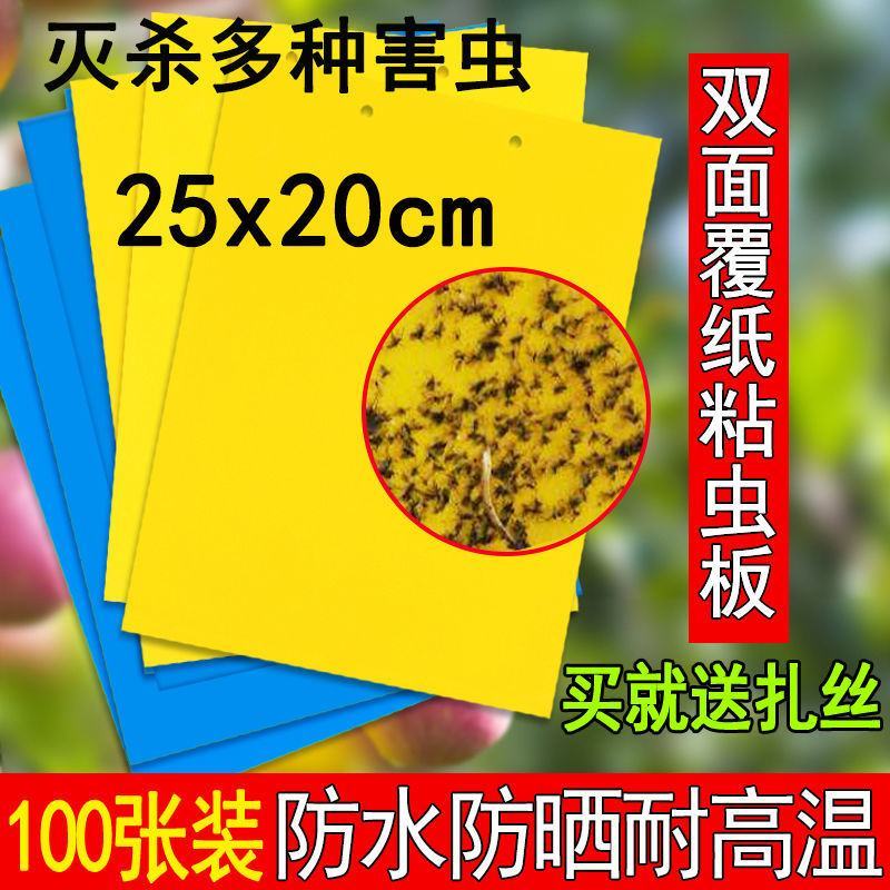 双面粘虫板蓝色诱虫板大棚果园茶园灭多种害虫粘蝇纸黄色粘板