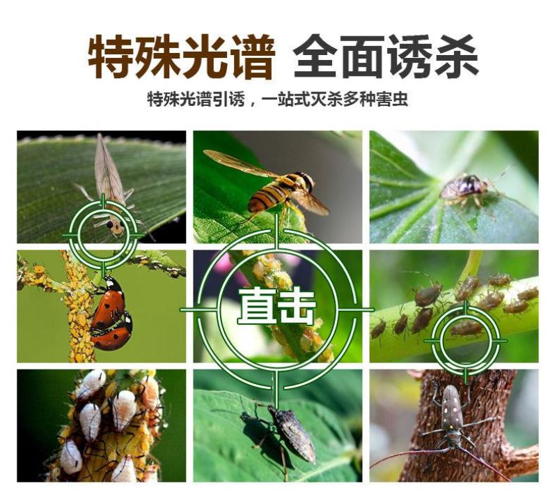 双面粘虫板蓝色诱虫板大棚果园茶园灭多种害虫粘蝇纸黄色粘板