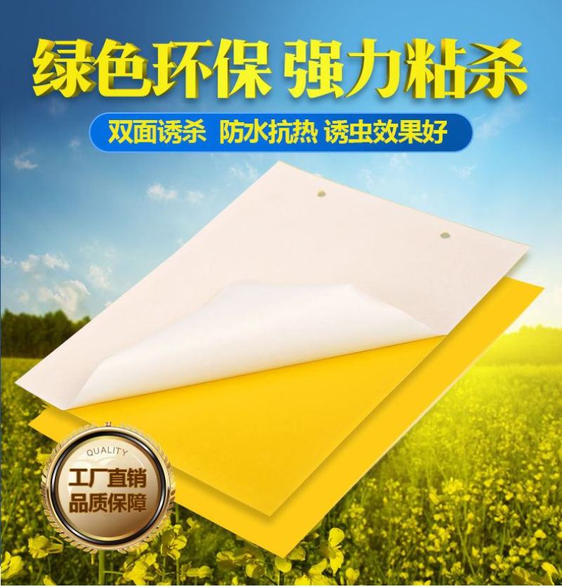 双面粘虫板蓝色诱虫板大棚果园茶园灭多种害虫粘蝇纸黄色粘板
