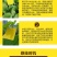 双面粘虫板蓝色诱虫板大棚果园茶园灭多种害虫粘蝇纸黄色粘板