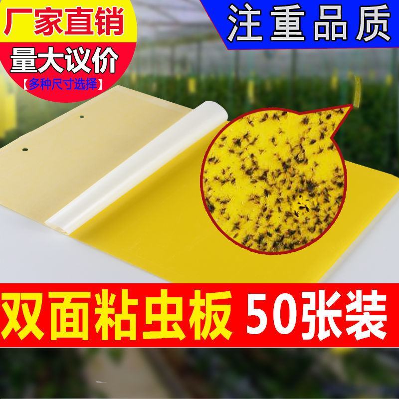 双面粘虫板蓝色诱虫板大棚果园茶园灭多种害虫粘蝇纸黄色粘板