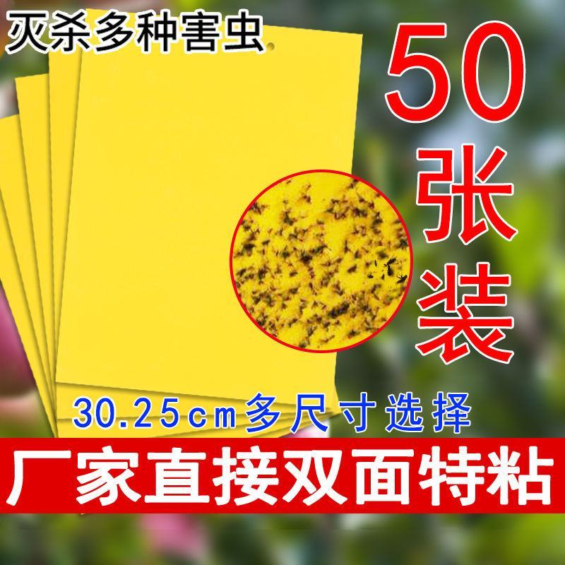 双面粘虫板蓝色诱虫板大棚果园茶园灭多种害虫粘蝇纸黄色粘板