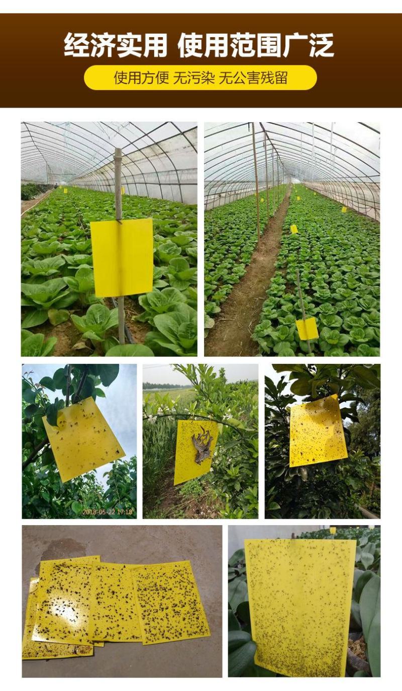 双面粘虫板蓝色诱虫板大棚果园茶园灭多种害虫粘蝇纸黄色粘板