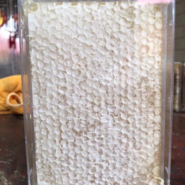 精品巢蜜2022新巢蜜荆条巢蜜蜂蜜一件代发