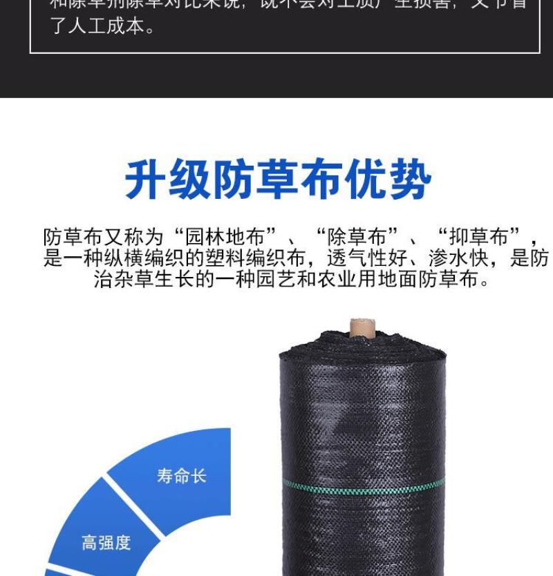 防草布除草布农用果树果园大棚可抗老化耐用渗水保湿黑色地膜