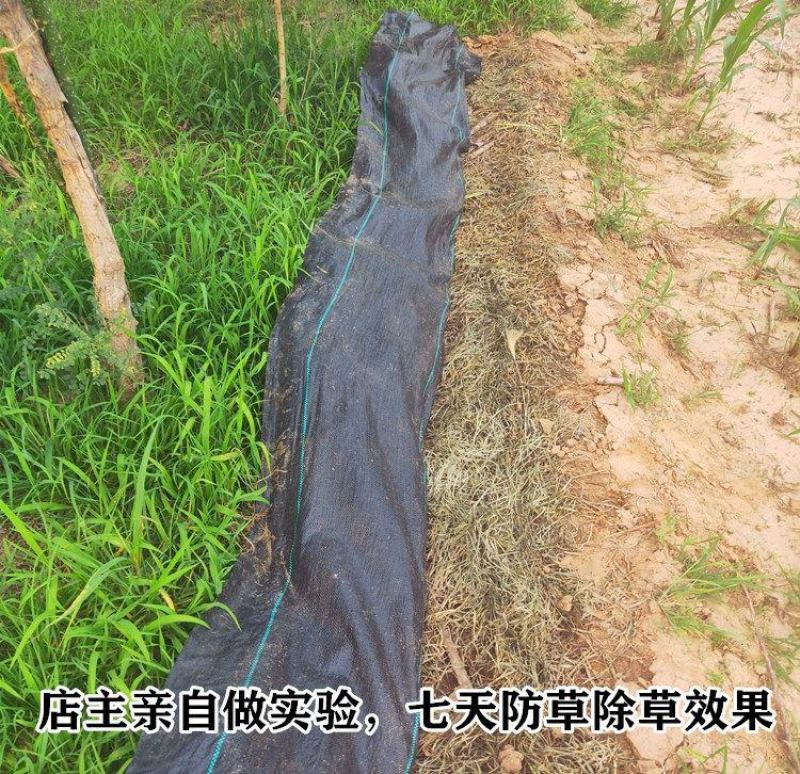 防草布除草布农用果树果园大棚可抗老化耐用渗水保湿黑色地膜