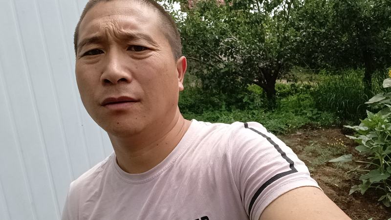 河北省深州市：新梨七号香梨生产基地