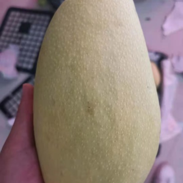热带水果