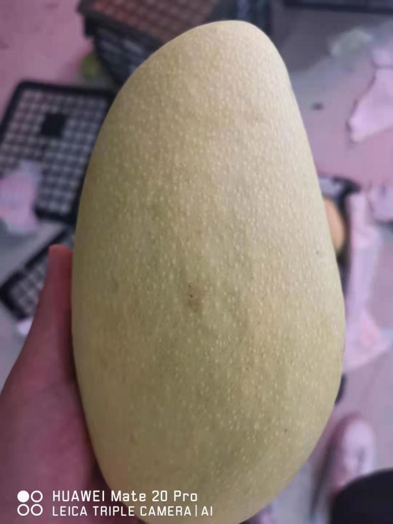 热带水果