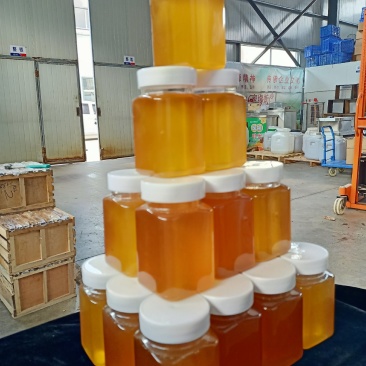 山东苹果蜂蜜大量批发食品药品辅助原料，蜂场批发欢迎咨询
