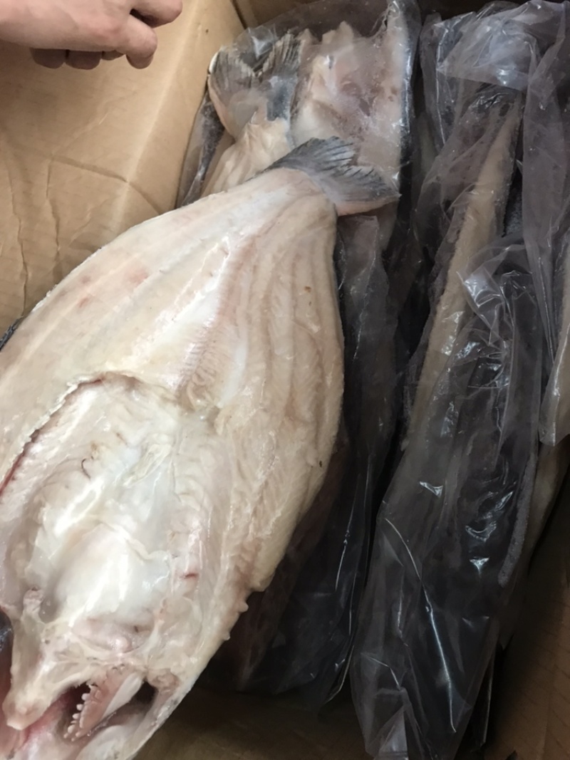 越南进口腌制开背巴沙鱼700-900，16条/件优惠