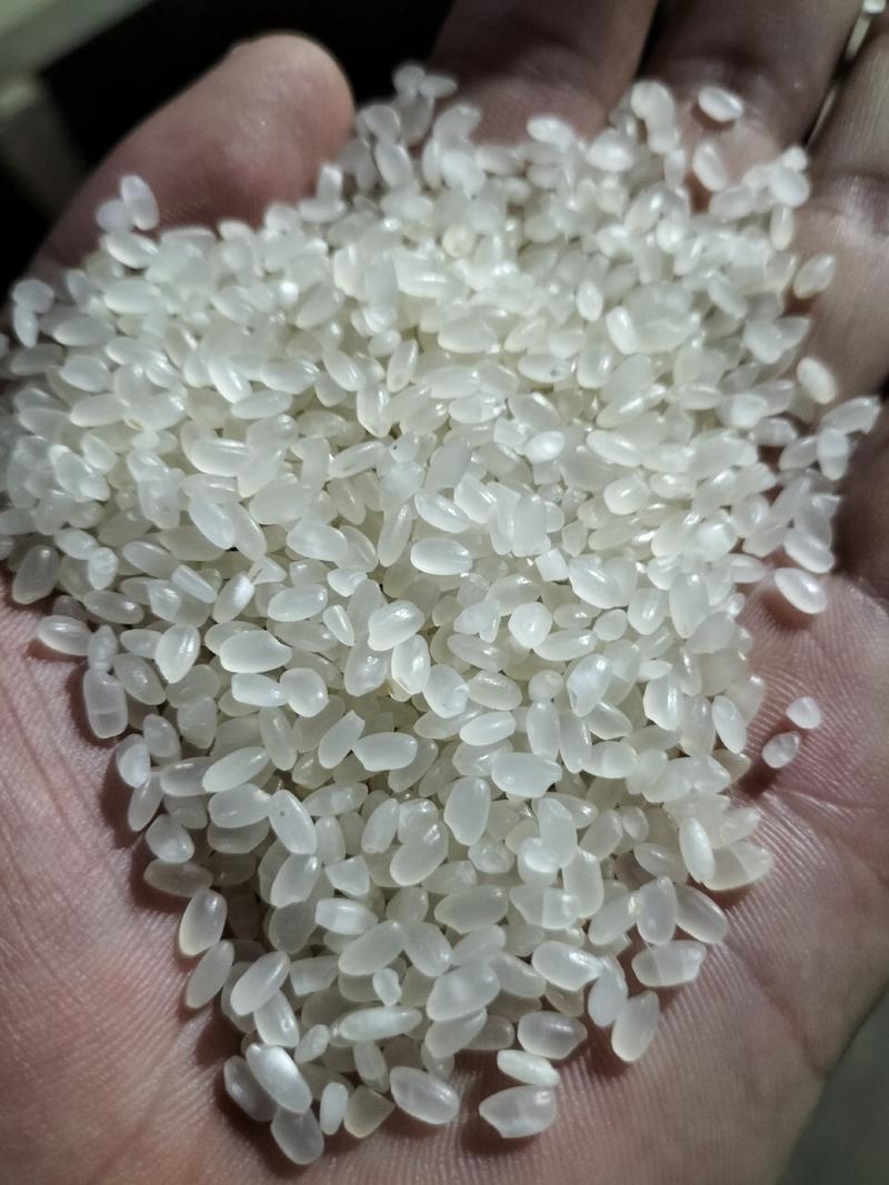 「精品]春阳惠牌大米，珍珠米，可视频看货厂家直供质量保证