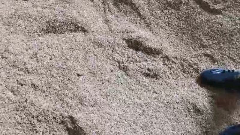 壳糠油糠压缩稻壳酒厂酿酒养殖饲料陶粒生物燃料