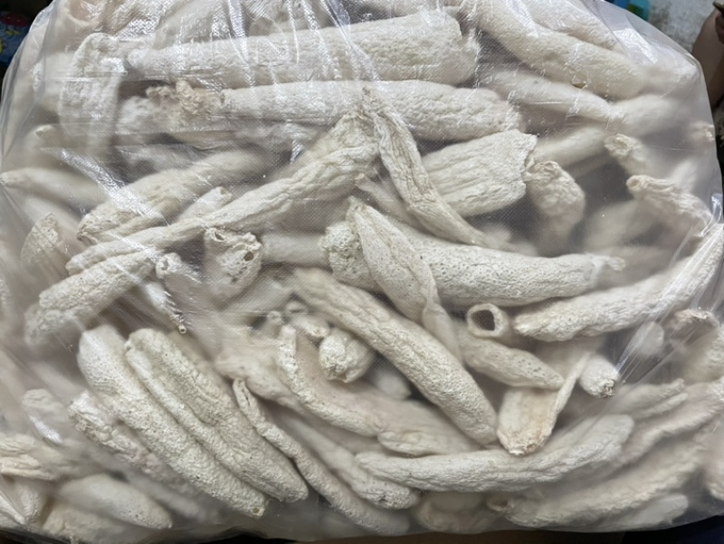 大方冬荪，无裙竹荪（贵州大方县特产菌品）