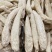 大方冬荪，无裙竹荪（贵州大方县特产菌品）