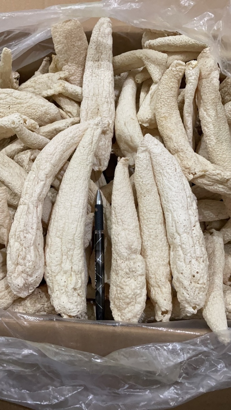 大方冬荪，无裙竹荪（贵州大方县特产菌品）