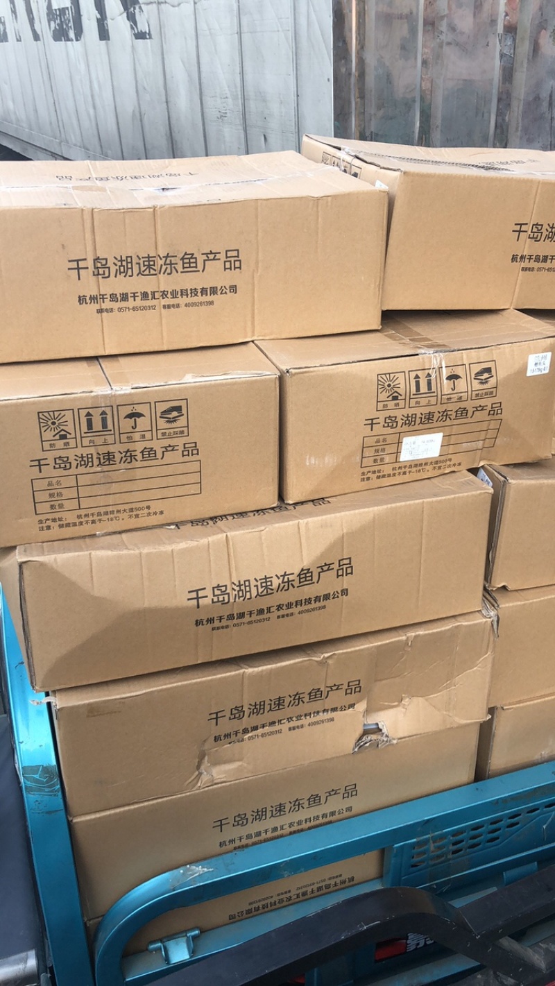 千岛湖鱼头