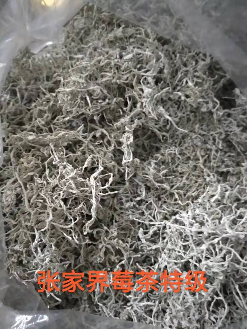 藤茶张家界莓茶龙须芽尖一手货源茶支持一件代发