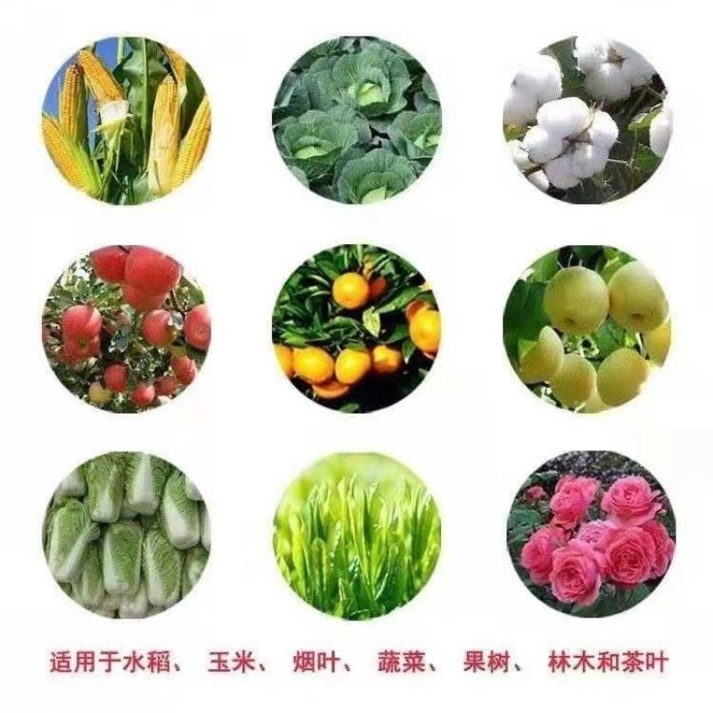 沪联橘满意20%乙螨唑柑橘果树红蜘蛛杀卵杀幼虫杀螨剂农药