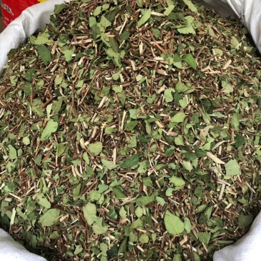 产地直供中药材忍冬藤银花藤银花藤带叶颜清绿