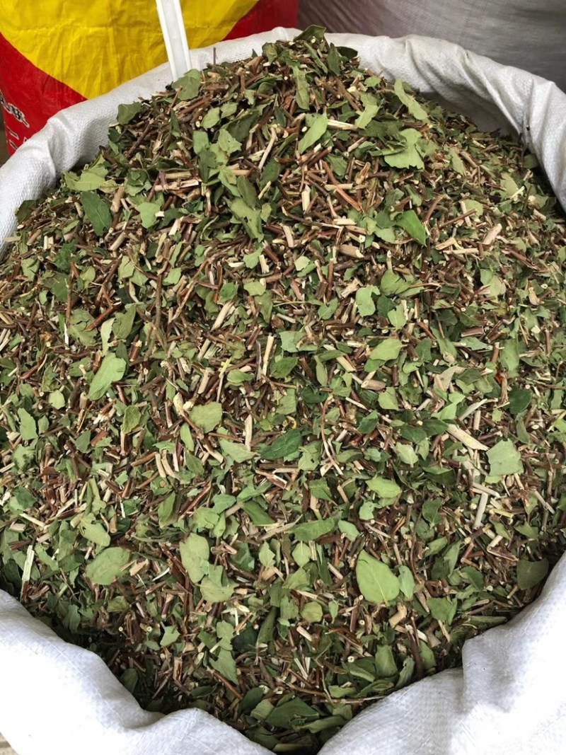 产地直供中药材忍冬藤银花藤银花藤带叶颜清绿