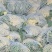 有机花