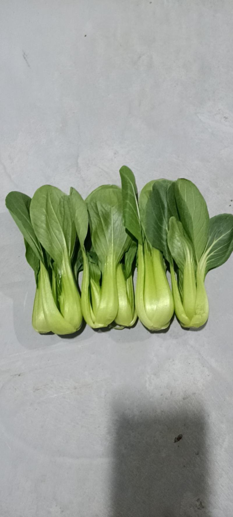 蔬菜
