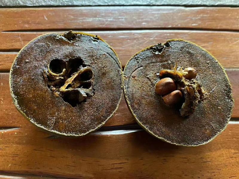 四季巧克力布丁黑柿树苗南北方种植适合庭院盆栽杯苗发货