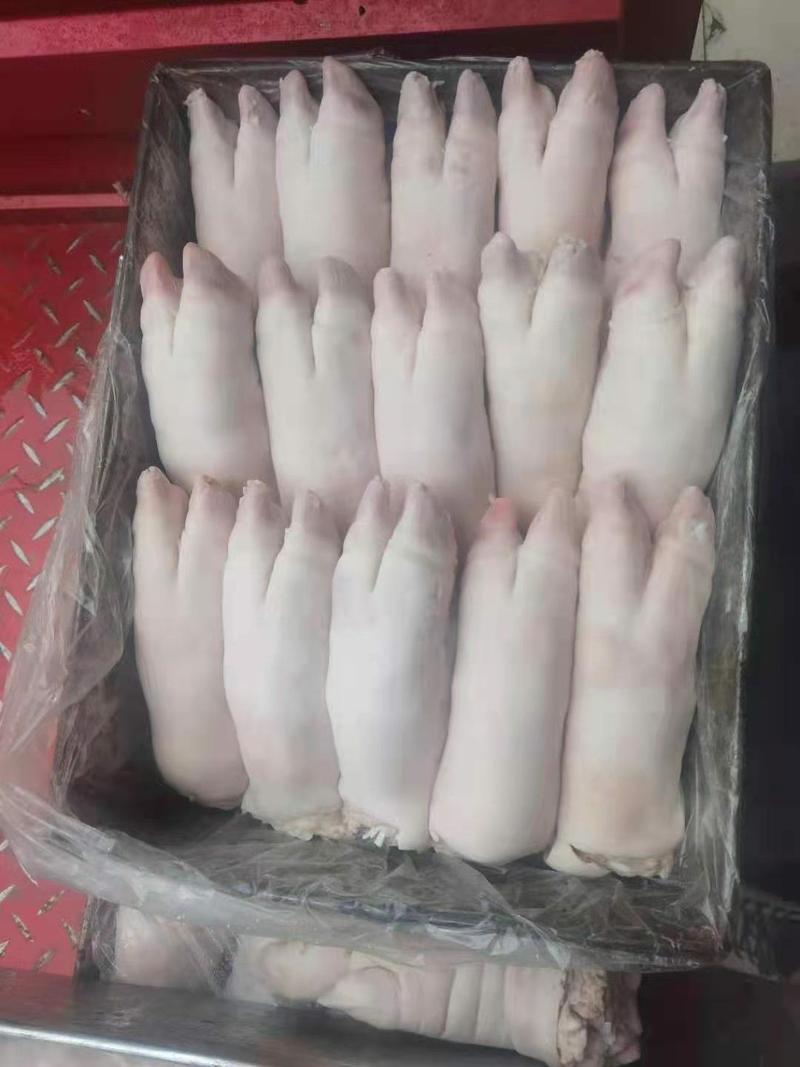 国产精品猪蹄20到21个货源稳定价格美丽