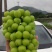 阳光玫瑰