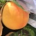 黄桃黄金蜜