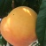 黄桃黄金蜜