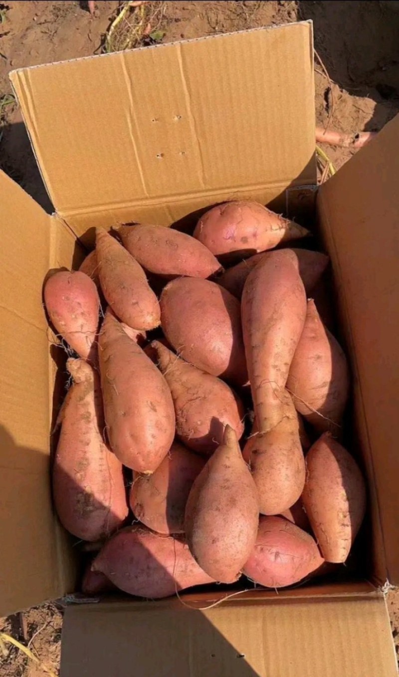 又甜又香的西瓜红薯，家中老人养生必备品