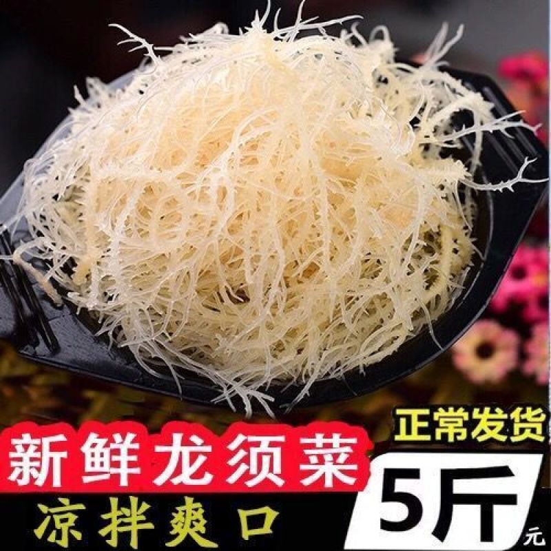 龙须菜盐渍龙须菜保鲜龙须菜凉拌菜海中珍品龙须菜包邮