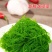 龙须菜盐渍龙须菜保鲜龙须菜凉拌菜海中珍品龙须菜包邮