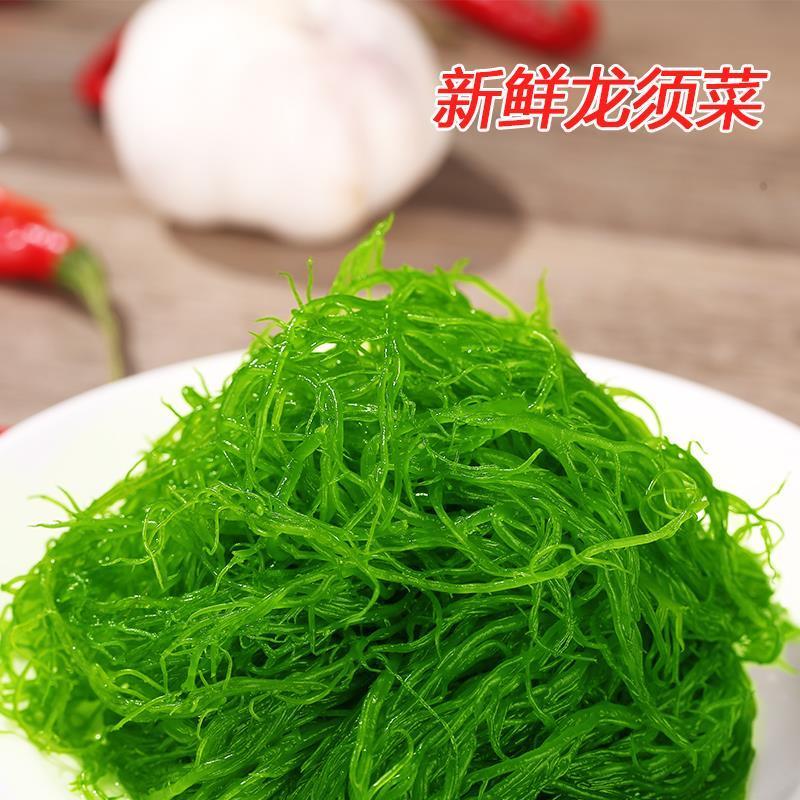 龙须菜盐渍龙须菜保鲜龙须菜凉拌菜海中珍品龙须菜包邮