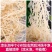 龙须菜盐渍龙须菜保鲜龙须菜凉拌菜海中珍品龙须菜包邮