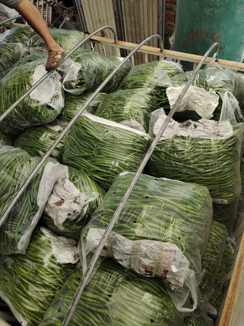 5月到11月薄皮二荆条批发
