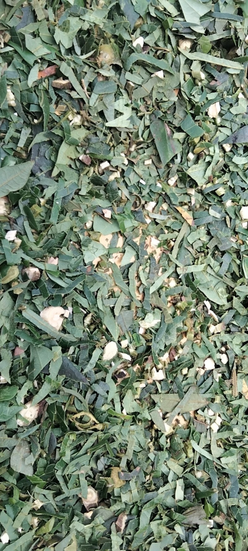 猴耳环