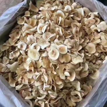 海底椰片，无硫，今年新货，煲汤必备，清香鲜甜，好👌