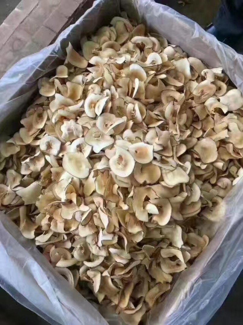 海底椰片，无硫，今年新货，煲汤必备，清香鲜甜，好👌