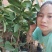新品种胭脂红番石榴苗香甜软糯四季开花当年结果盆栽红心番石