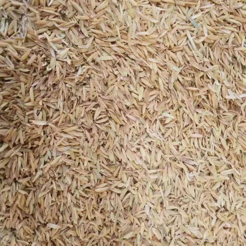 大型米厂直销压缩稻壳打包稻壳统糠混合糠，干净无杂质