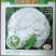 【免盖松花】台湾青梗白花小米粒花球松大花菜厂家直销
