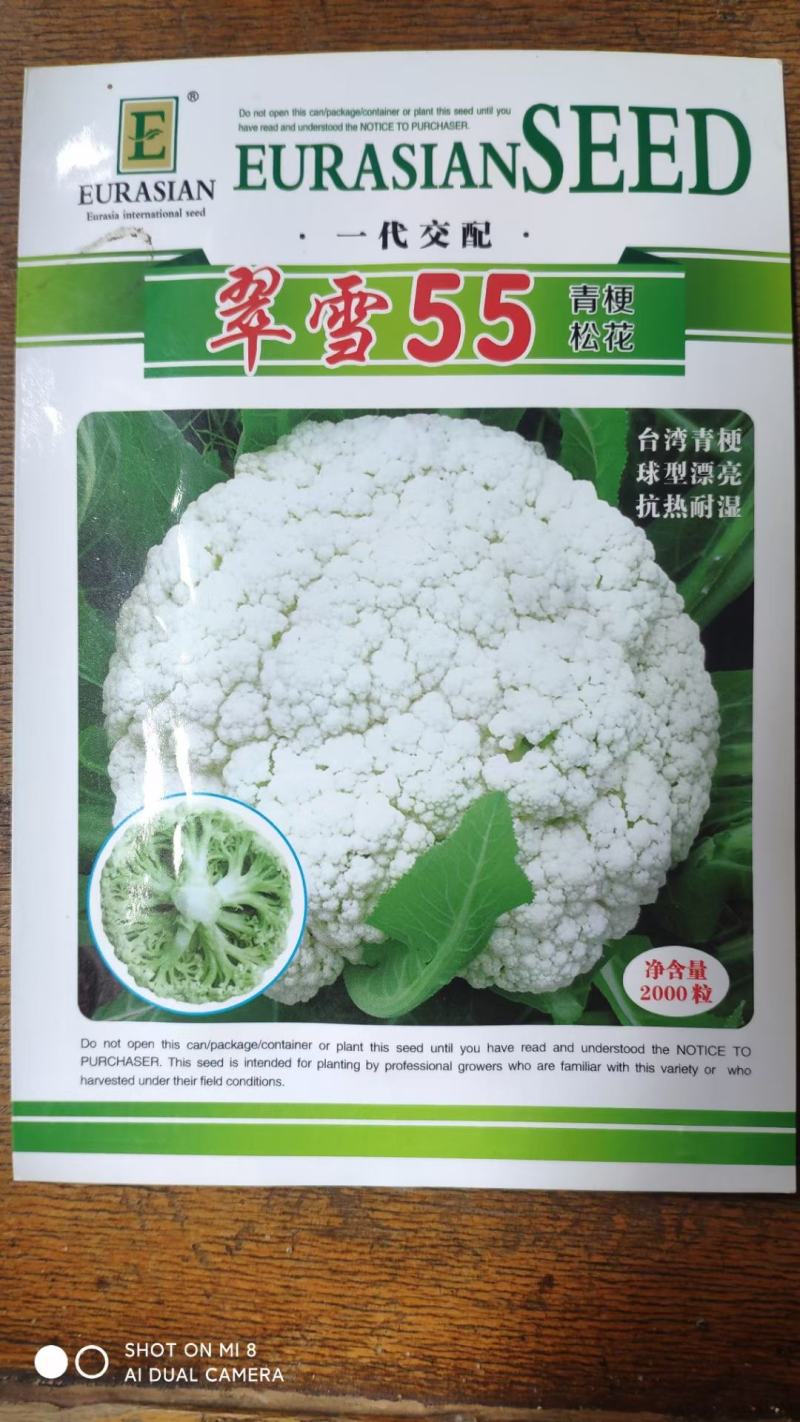 【免盖松花】台湾青梗白花小米粒花球松大花菜厂家直销