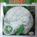 【免盖松花】台湾青梗白花小米粒花球松大花菜厂家直销