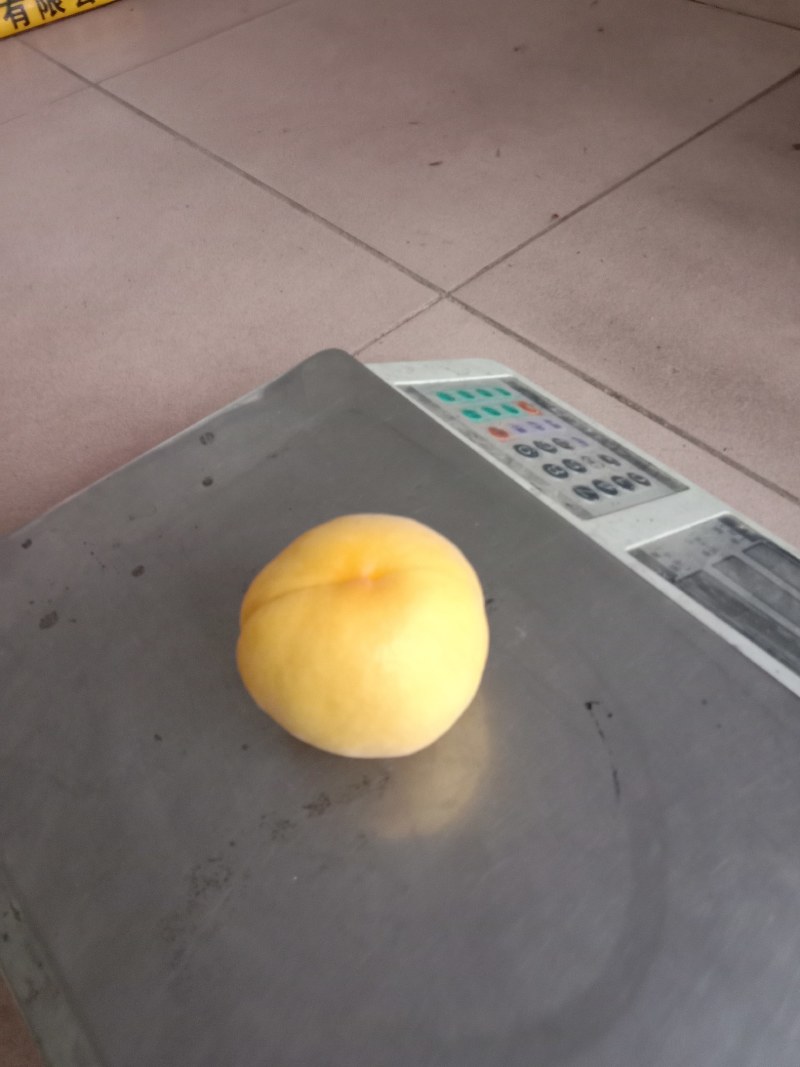 黄毛桃金蜜